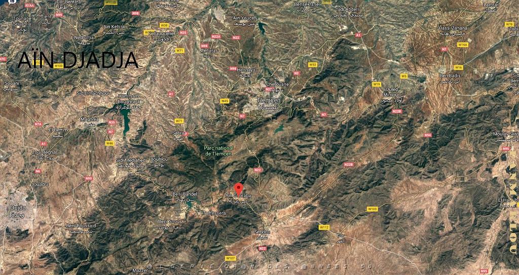 COLO TLEMCEN .jpg